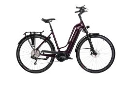 Trans Hybrid Prestige 504